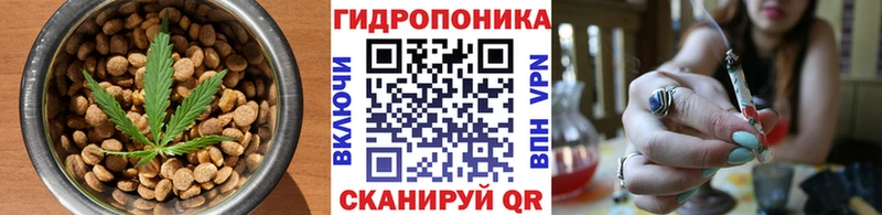 Canna-Cookies марихуана  гидра как войти  Саянск 