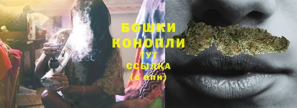 стафф Дмитриев