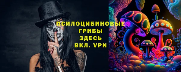 стафф Дмитриев