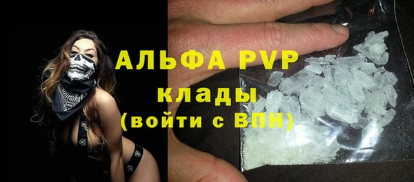 стафф Дмитриев