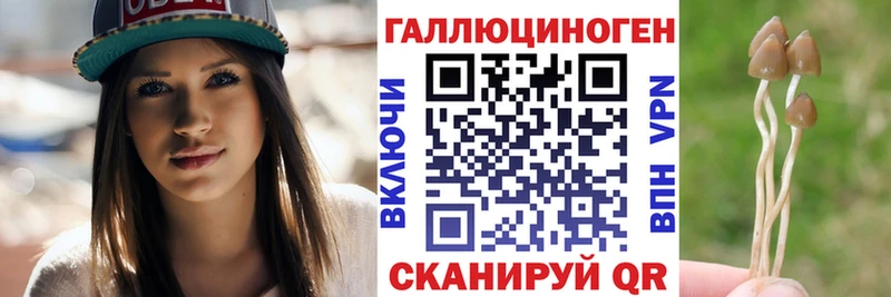 Псилоцибиновые грибы прущие грибы  Саянск 