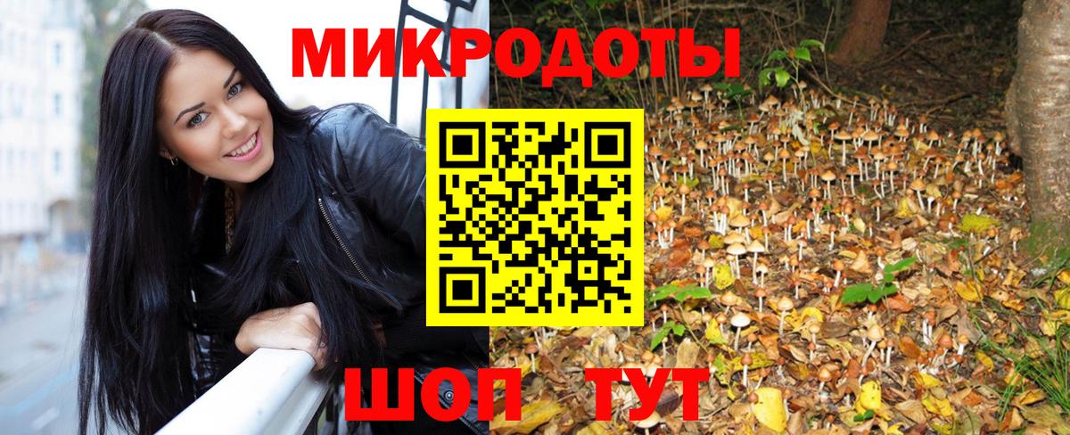 Галлюциногенные грибы мухоморы Саянск
